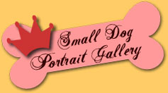 The Alameda Small Dog Portrait Gallery