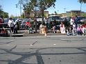 IMG_1552