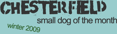 The Alameda Small Dog Portrait Gallery