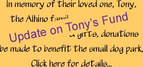 Tony's Fund