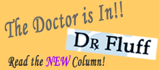 Dr. Fluff weighs in on FLEAS!