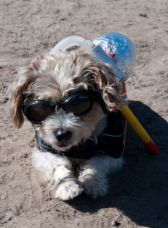 Howloween-2010_021