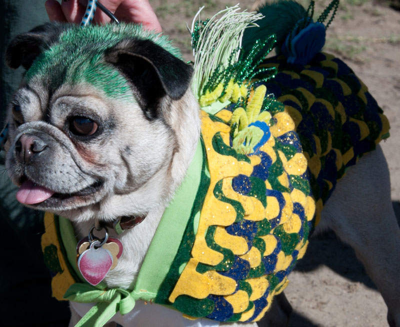 Howloween-2010_042close