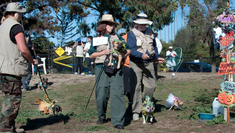 Howloween-2010_055closer