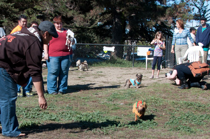 Howloween-2010_152cu