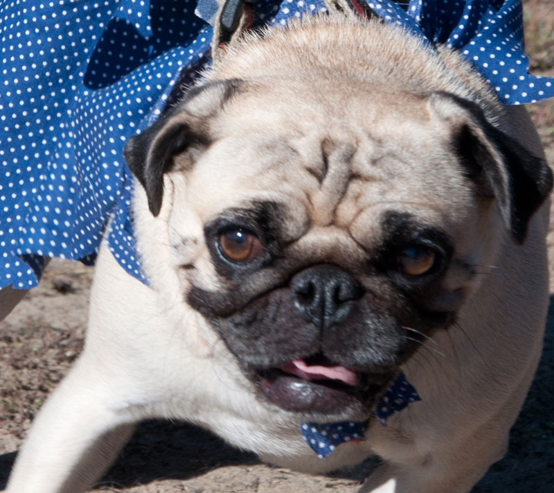 Howloween-2010_223cu