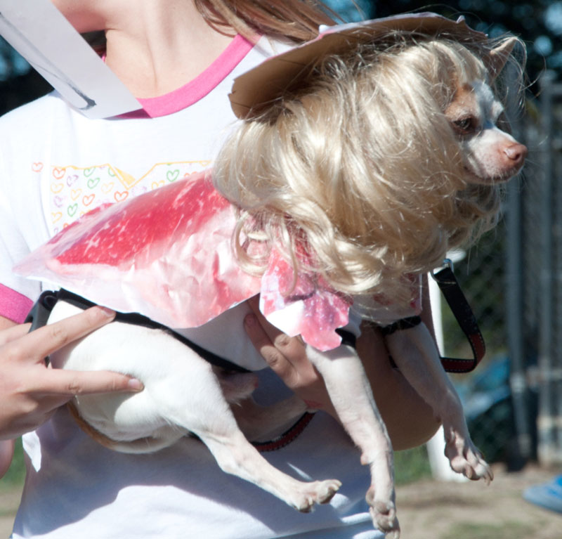 Howloween-2010_243cu