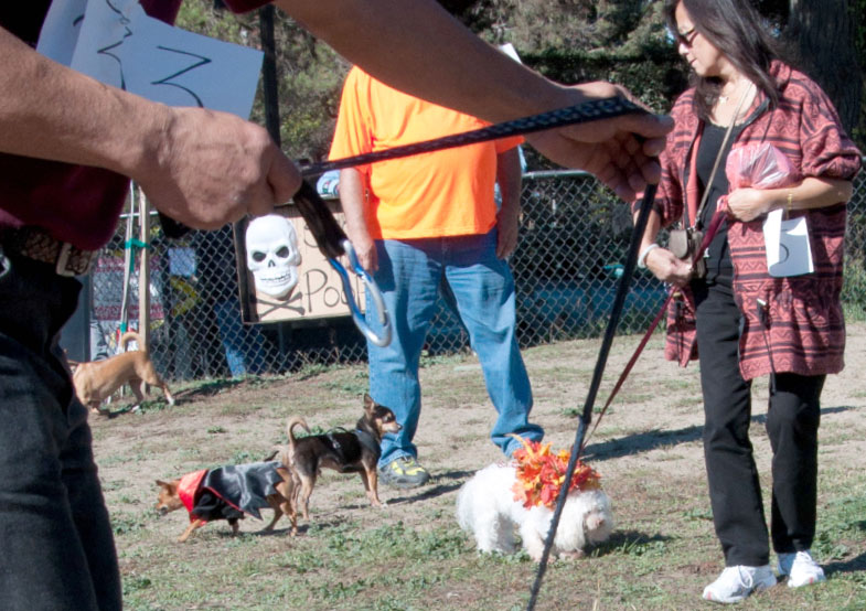 Howloween-2010_272cu