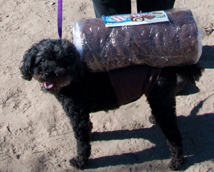 Howloween-2010_297cu