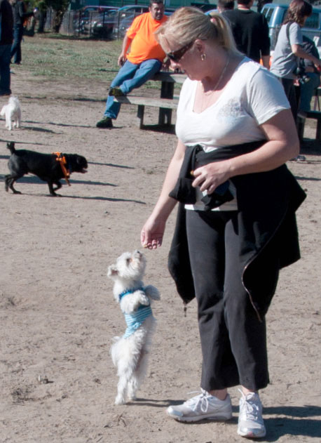 Howloween-2010_313cu