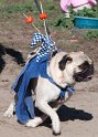 Howloween-2010_065