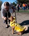 Howloween-2010_134