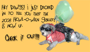 The 2008 Howl-O-Ween Gallery is up!!