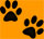 paw prints