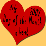July 2007 Dog of the Month is here!