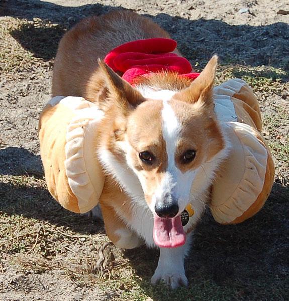 191